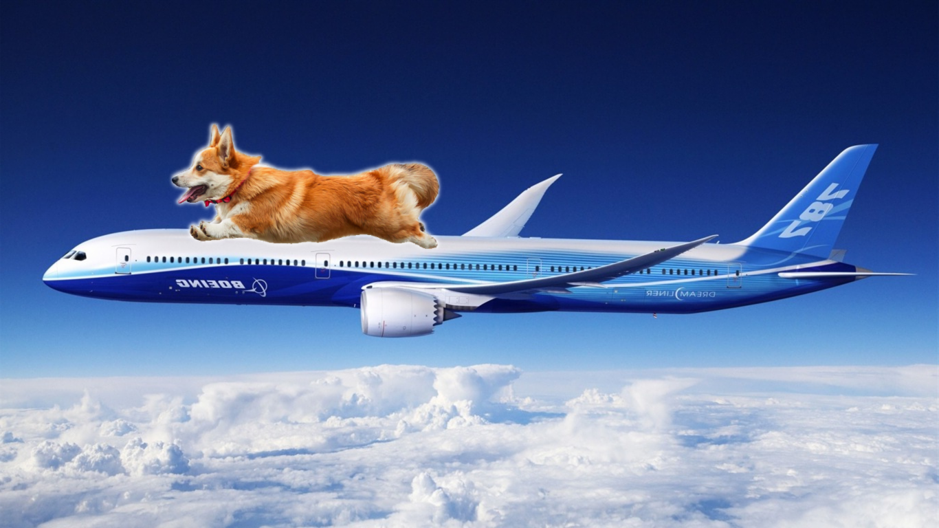 dog_plane